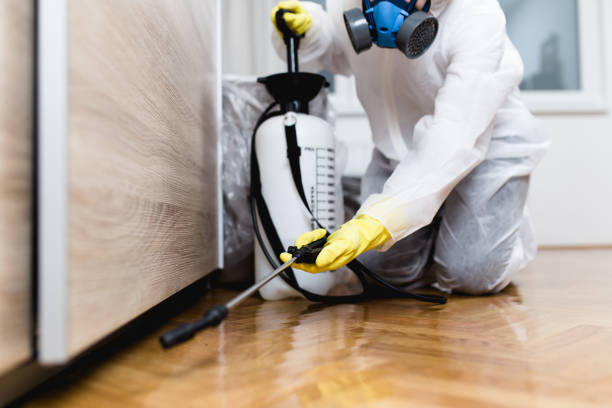 Best Pest Removal Services  in Lindsay, CA