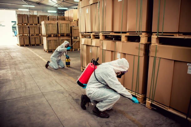 Best Wasp Removal Services  in Lindsay, CA