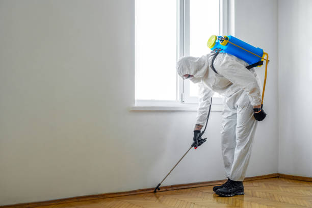 Best Affordable Pest Control Services  in Lindsay, CA