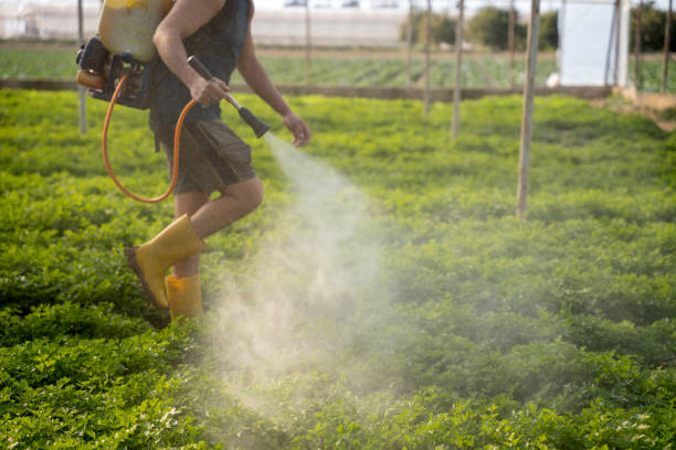 Best Mosquito Control Services  in Lindsay, CA