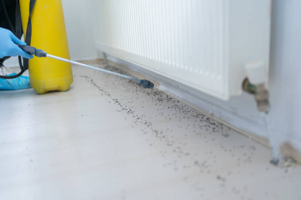 Best Commercial Pest Control Services  in Lindsay, CA