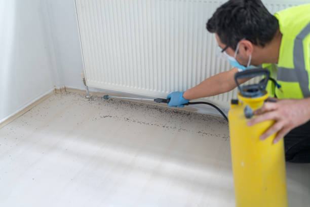 Professional Pest Control in Lindsay, CA