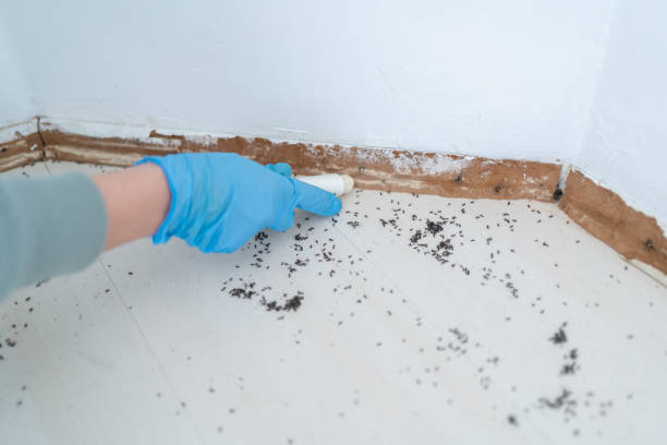 Best Rodent Control Near Me  in Lindsay, CA