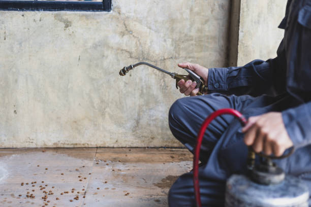 Best Residential Pest Control  in Lindsay, CA