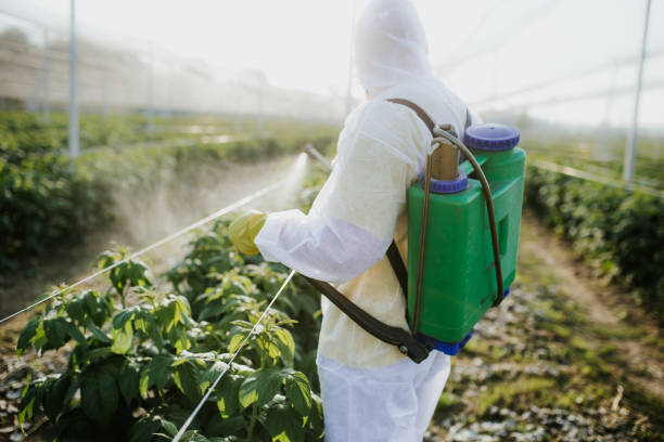 Best Rat Extermination Near Me  in Lindsay, CA